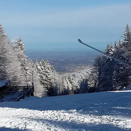 Akacijev Izvir Daire *