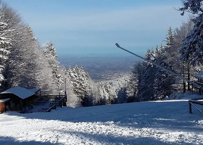 Akacijev Izvir Lejlighed *