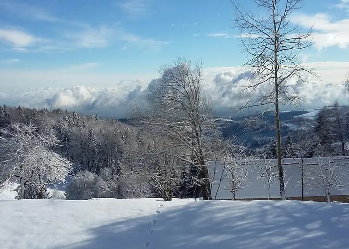 Akacijev Izvir * Miklavz na Dravskem Polju